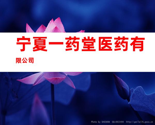 宁夏一药堂医药有限公司