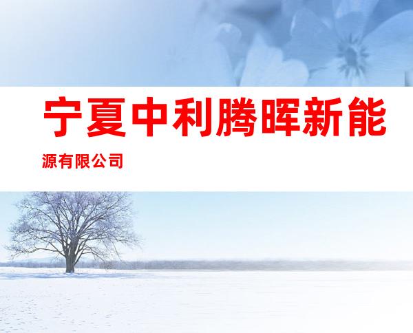 宁夏中利腾晖新能源有限公司
