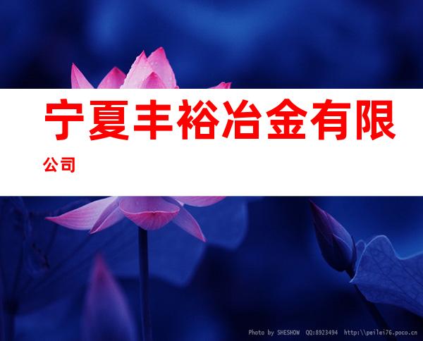 宁夏丰裕冶金有限公司