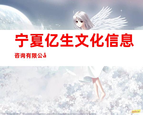 宁夏亿生文化信息咨询有限公司
