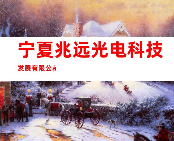 宁夏兆远光电科技发展有限公司