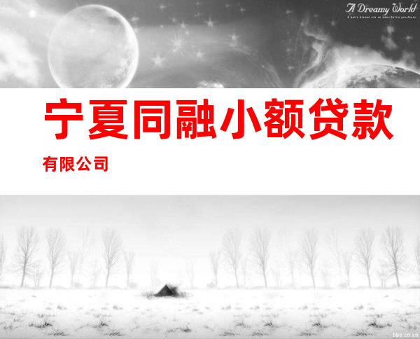 宁夏同融小额贷款有限公司