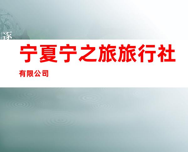 宁夏宁之旅旅行社有限公司