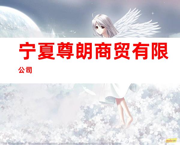 宁夏尊朗商贸有限公司