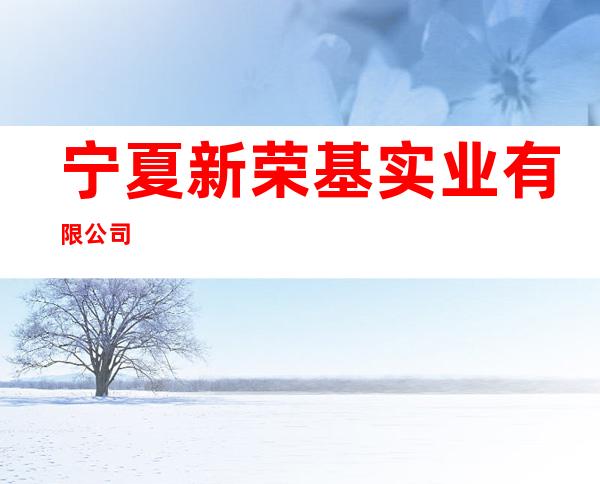 宁夏新荣基实业有限公司