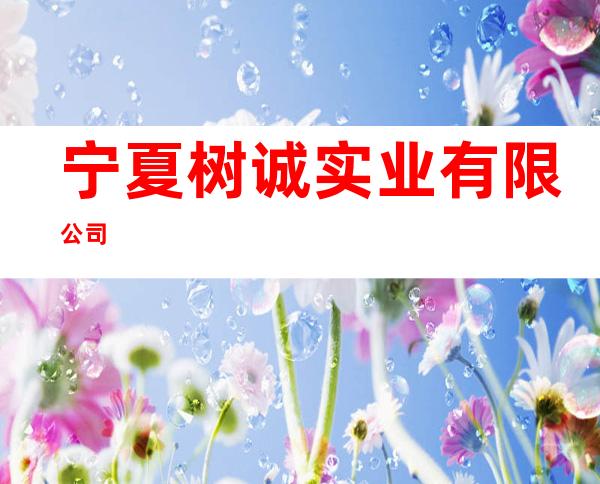 宁夏树诚实业有限公司