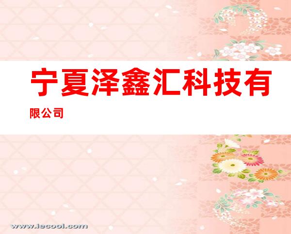 宁夏泽鑫汇科技有限公司