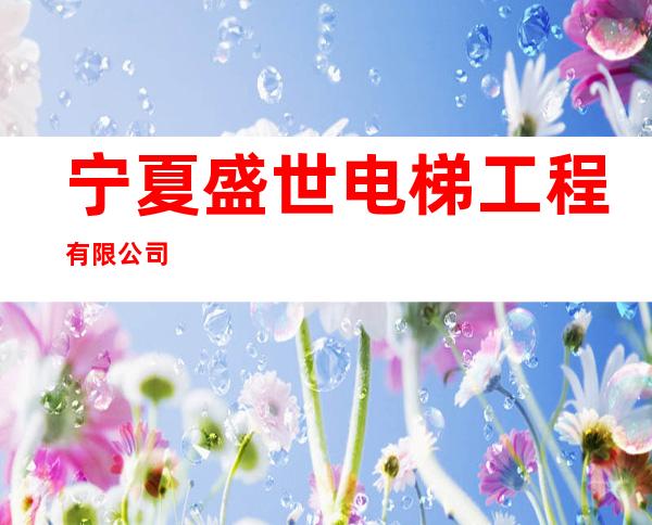 宁夏盛世电梯工程有限公司