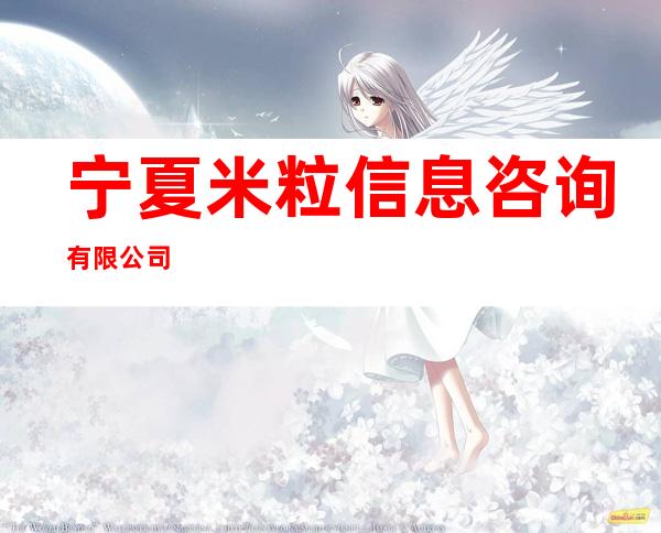 宁夏米粒信息咨询有限公司