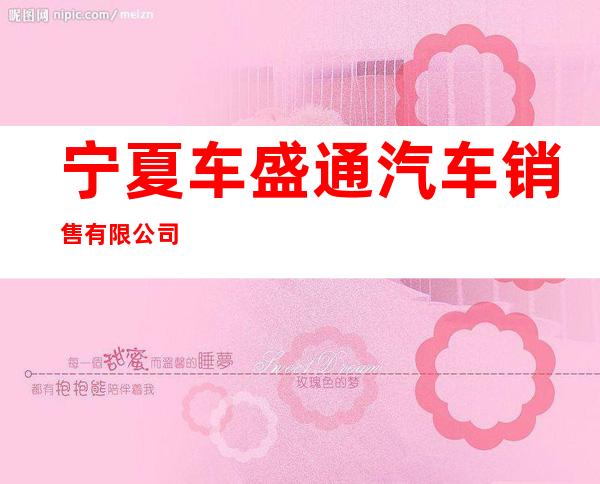 宁夏车盛通汽车销售有限公司