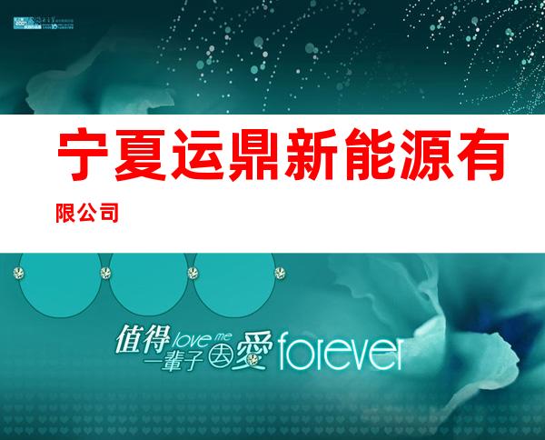 宁夏运鼎新能源有限公司