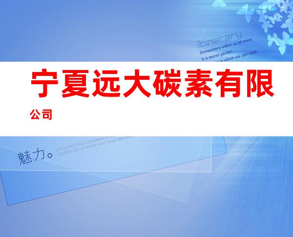 宁夏远大碳素有限公司