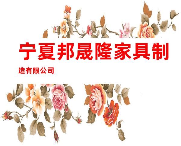 宁夏邦晟隆家具制造有限公司