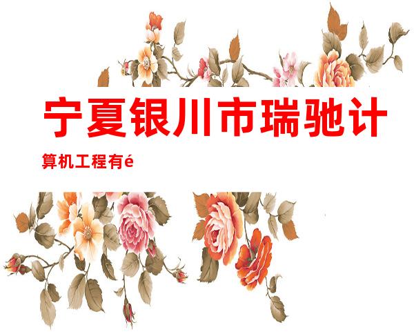 宁夏银川市瑞驰计算机工程有限公司