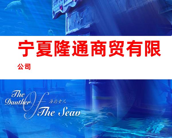 宁夏隆通商贸有限公司