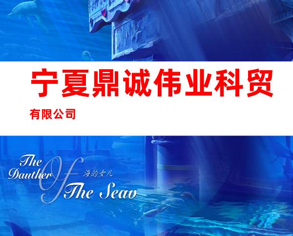 宁夏鼎诚伟业科贸有限公司