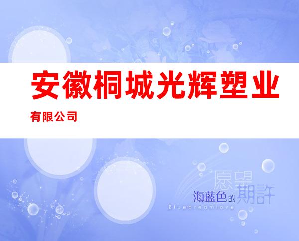 安徽桐城光辉塑业有限公司