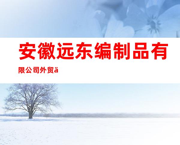安徽远东编制品有限公司外贸业务部