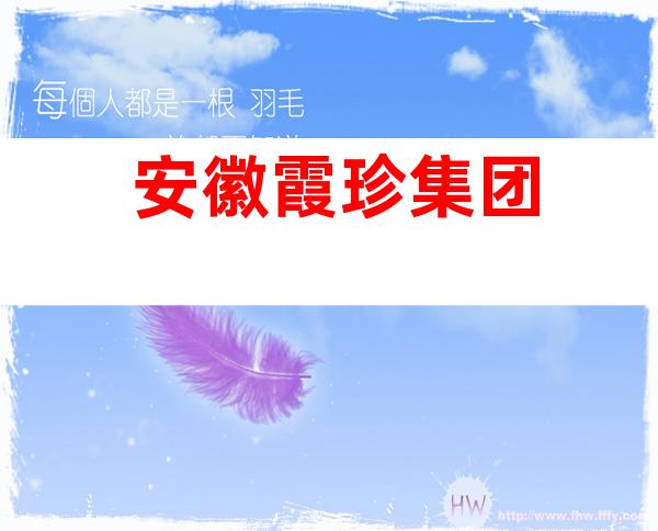 安徽霞珍集团