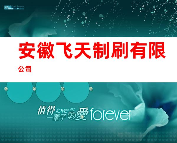 安徽飞天制刷有限公司