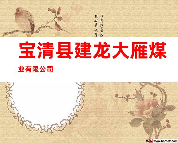 宝清县建龙大雁煤业有限公司