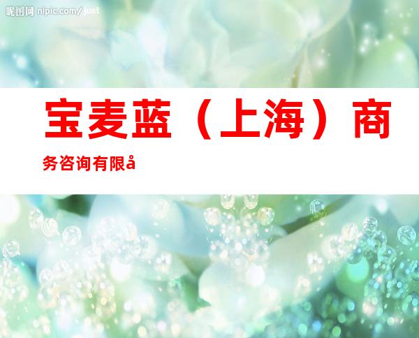 宝麦蓝(上海)商务咨询有限公司