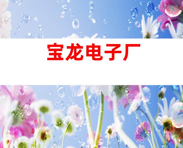 宝龙电子厂