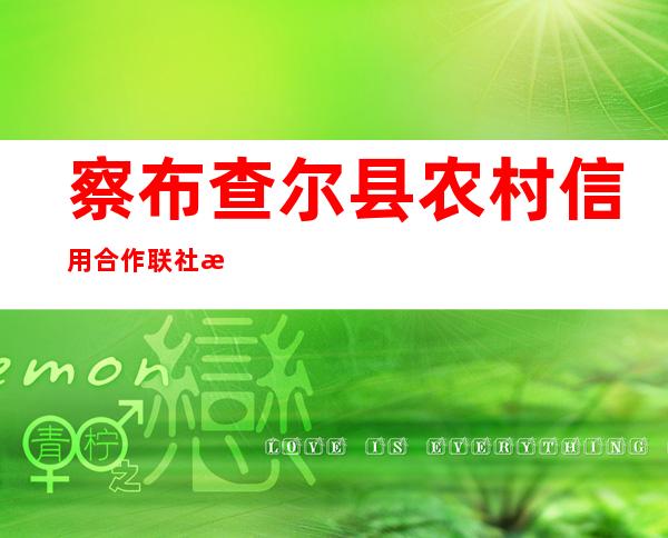 察布查尔县农村信用合作联社杜林拜街信用社