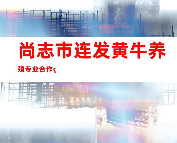 尚志市连发黄牛养殖专业合作社