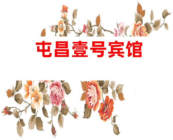 屯昌壹号宾馆