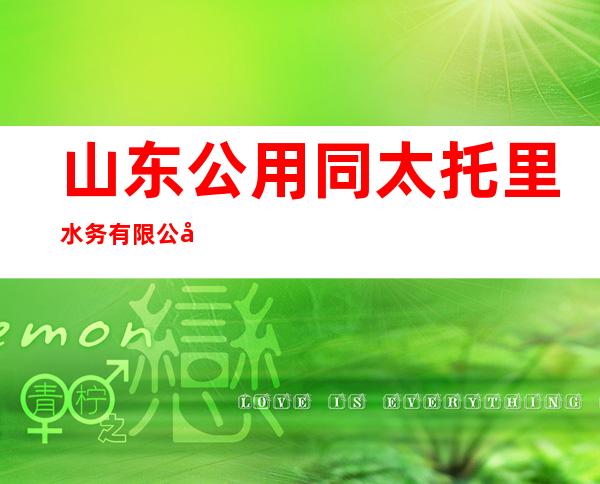 山东公用同太托里水务有限公司