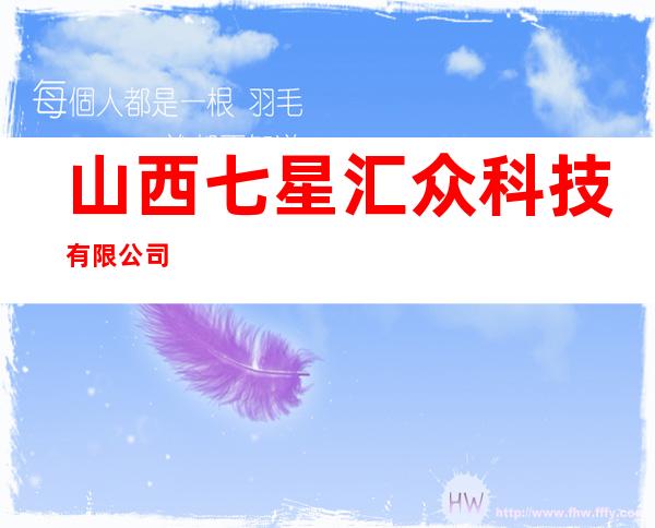 山西七星汇众科技有限公司