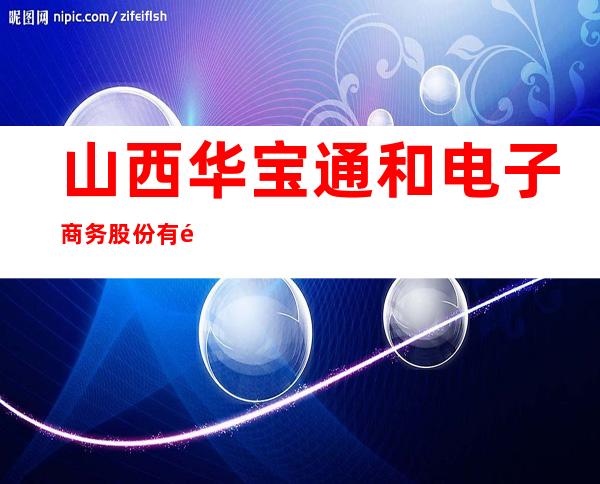 山西华宝通和电子商务股份有限公司