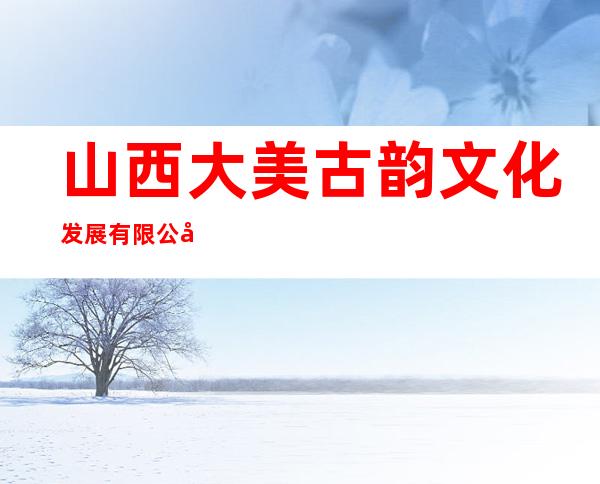 山西大美古韵文化发展有限公司