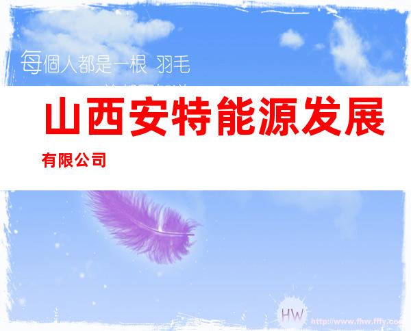 山西安特能源发展有限公司