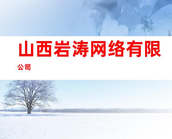 山西岩涛网络有限公司