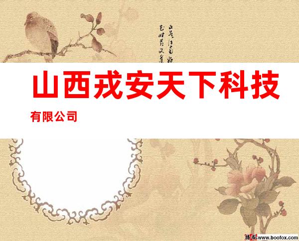 山西戎安天下科技有限公司