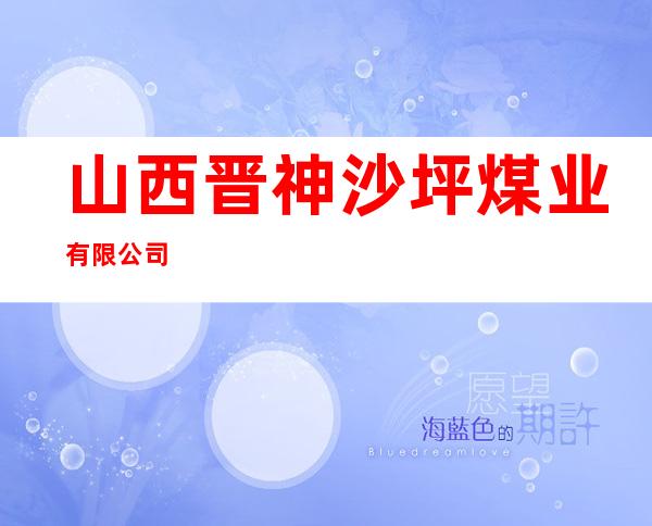 山西晋神沙坪煤业有限公司