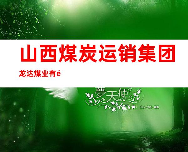 山西煤炭运销集团龙达煤业有限公司