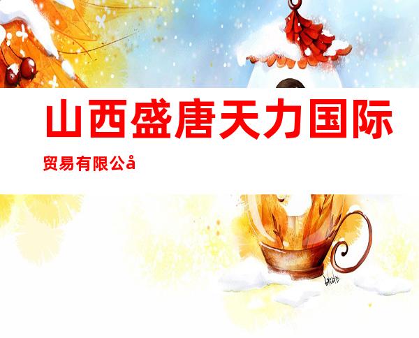 山西盛唐天力国际贸易有限公司
