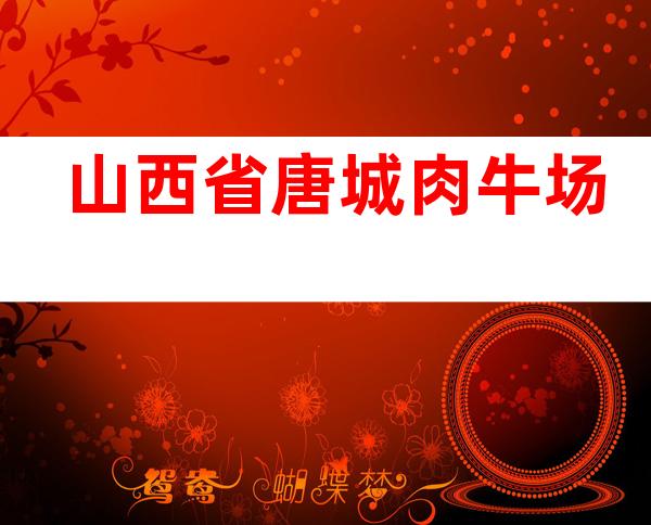 山西省唐城肉牛场