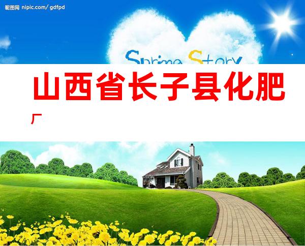 山西省长子县化肥厂