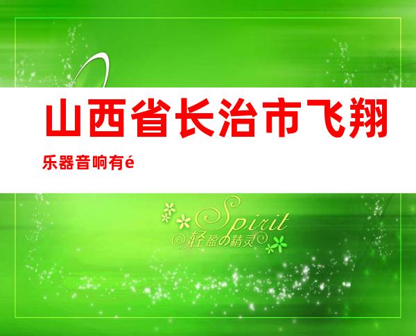 山西省长治市飞翔乐器音响有限公司