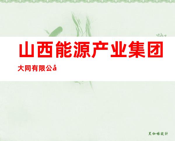 山西能源产业集团大同有限公司