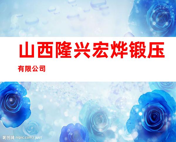 山西隆兴宏烨锻压有限公司