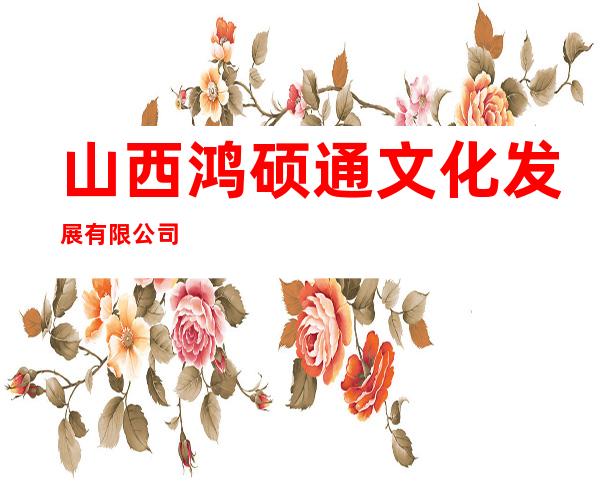 山西鸿硕通文化发展有限公司