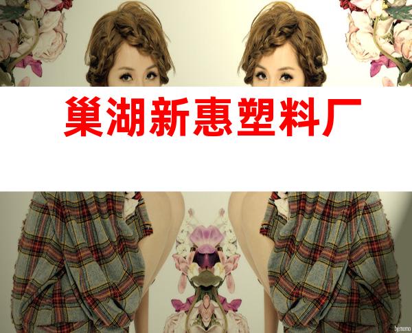 巢湖新惠塑料厂