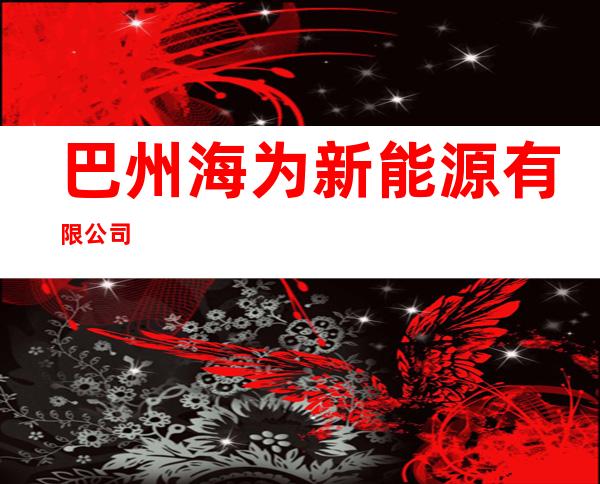 巴州海为新能源有限公司