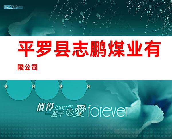 平罗县志鹏煤业有限公司