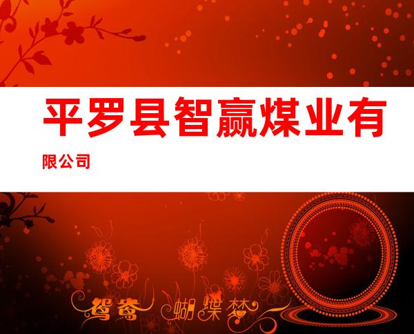平罗县智赢煤业有限公司